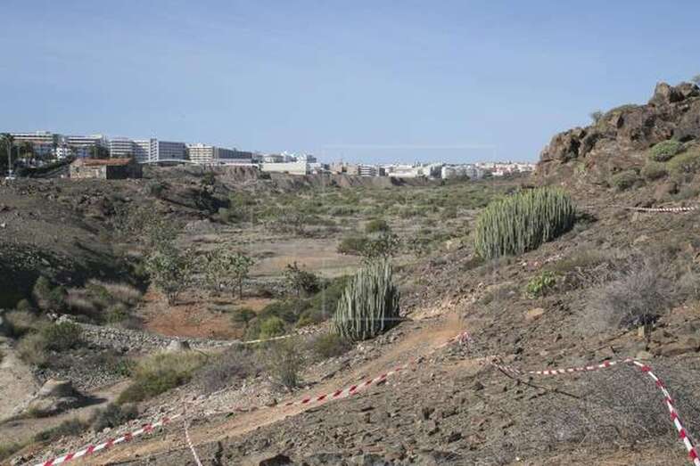 Imagen de archivo de los terrenos del barranco de El Veril donde Loro Parque proyecta construir el parque acuático (Foto EFE)